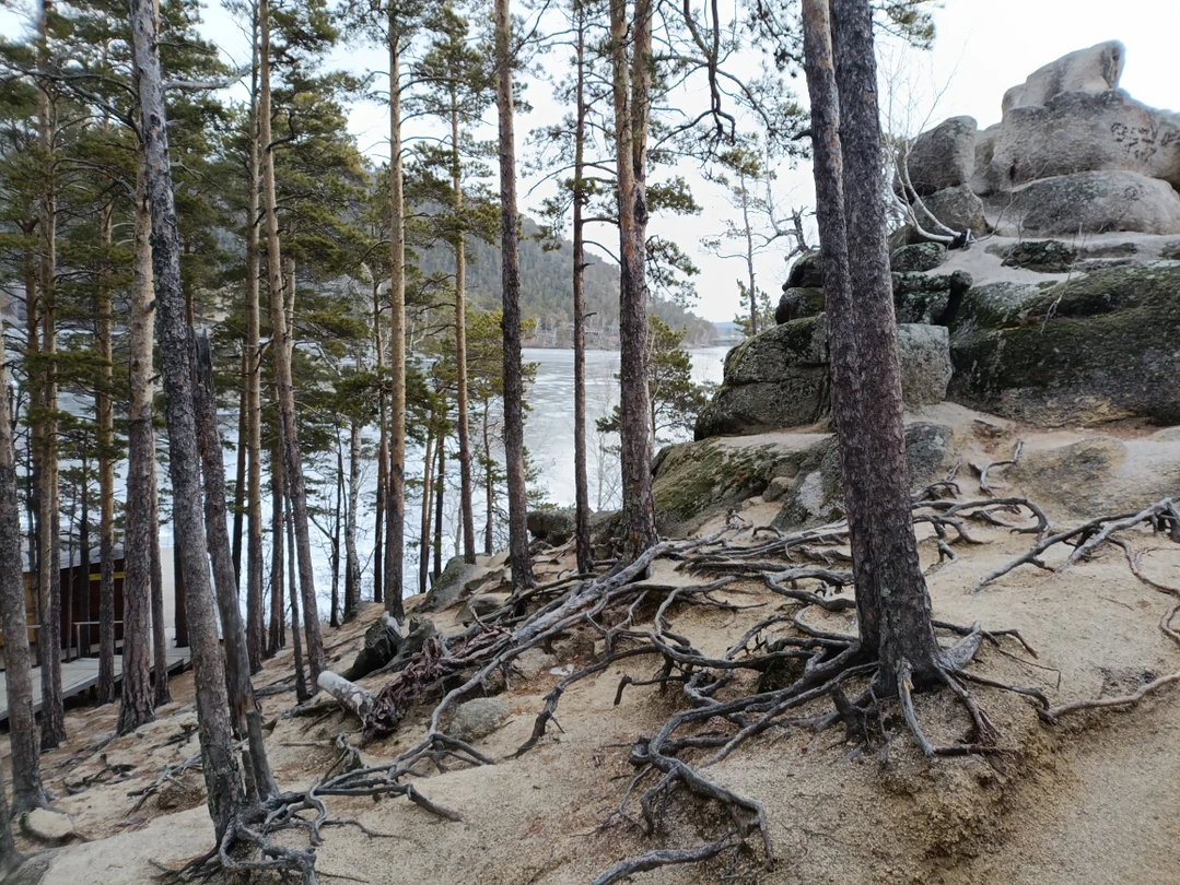 Экскурсия занимает целый день, но не пожалели ни об одной минуте. Чудесная природа и хорошая организация экскурсии