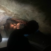 Отзыв о экскурсии "Удивительная Грузия: трансфер и экскурсия из Тбилиси в Кутаиси/Батуми или обратно" — фото 8