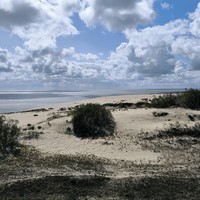 Фото отзыва 3: экскурсия "Куршская коса для детей и взрослых"