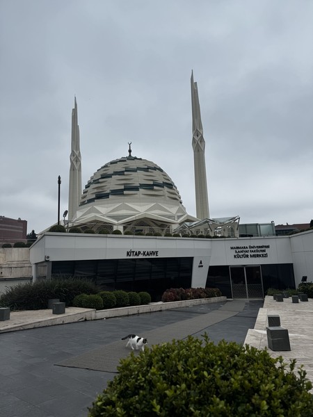 Неподражаемый Стамбул (Ольга)