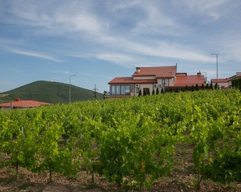 Автобусно-пешеходная экскурсия по Новороссийску, агрокомплекс Chateau Pinot, дегустация вина и улиток
