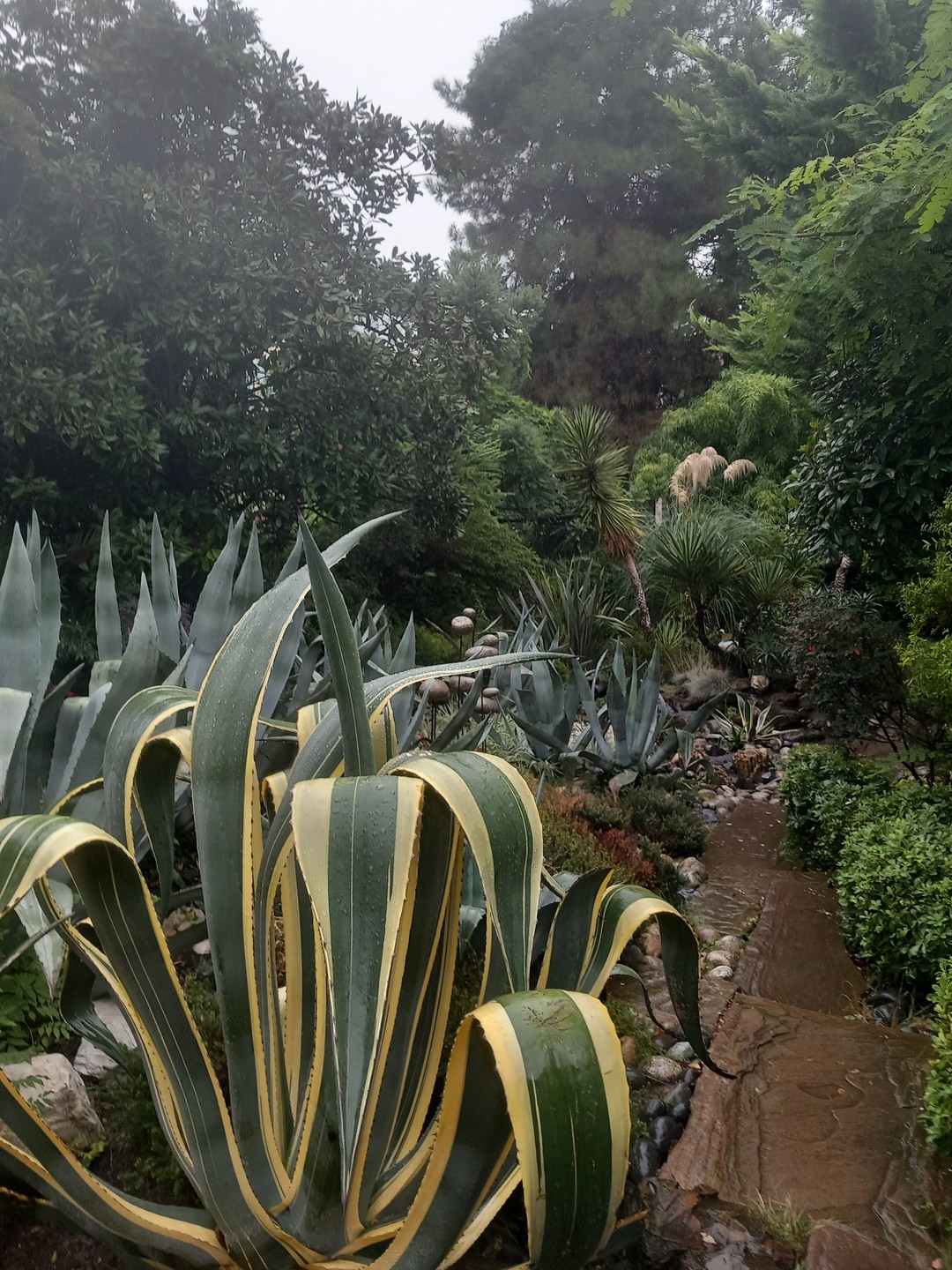 Сочи и его живописные окрестности на автомобиле (Марина)