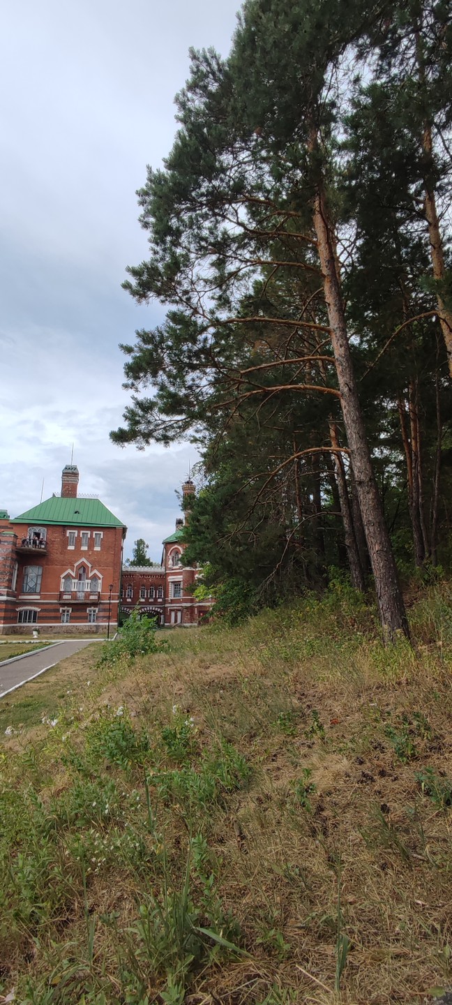 Групповая экскурсия к замку Шереметева и озеру Светлояр (Elena)