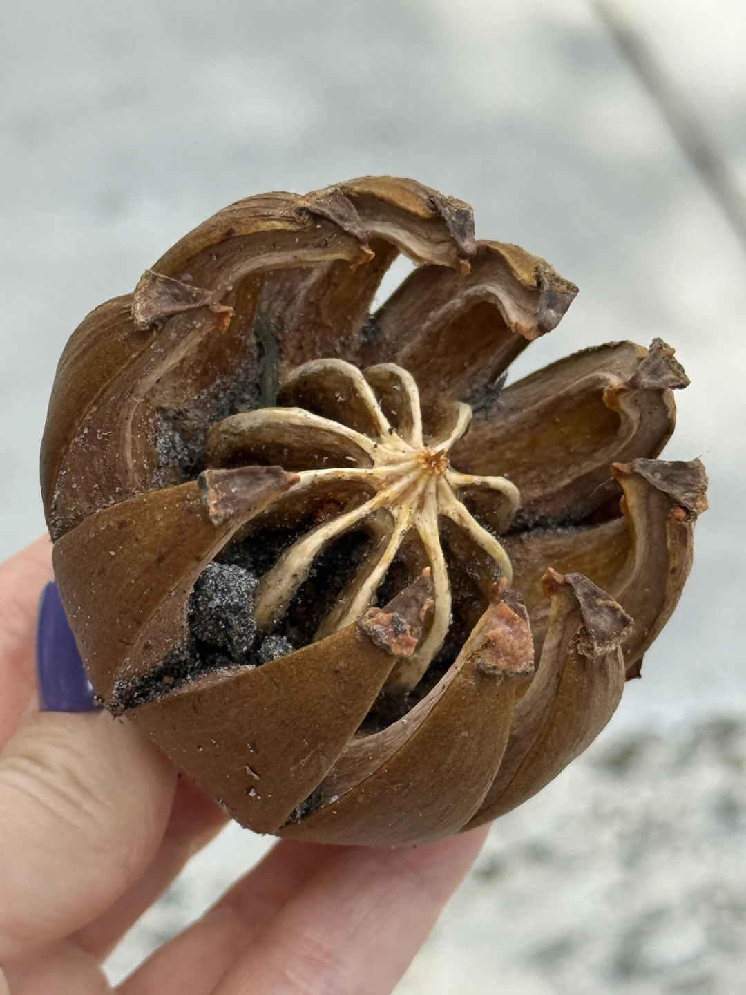 Всё о главном курорте Америки. Обзорная экскурсия по Майами (Татьяна)