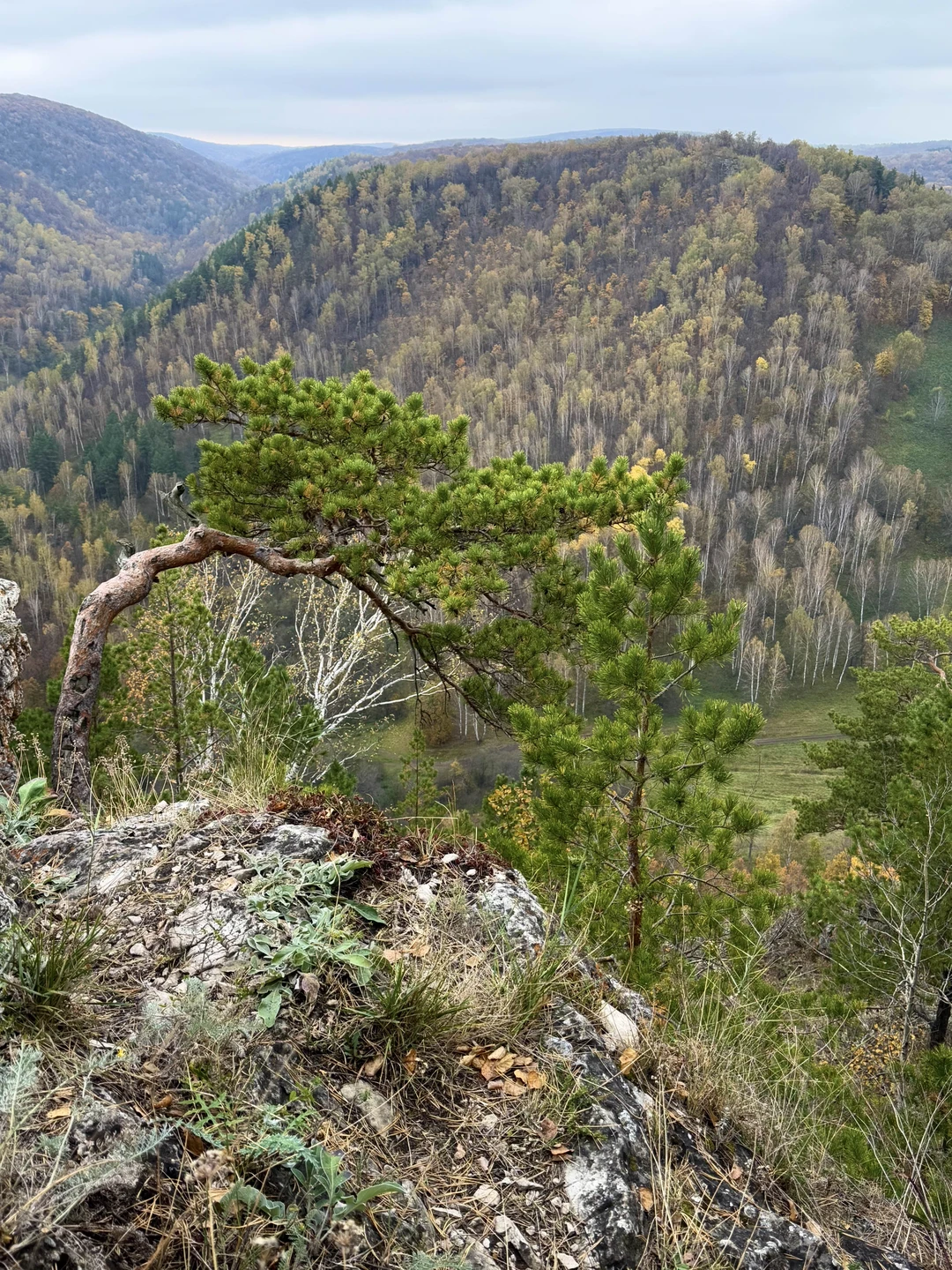 Очень приятная поездка, рекомендую. Виды красивые, дорога не утомительная