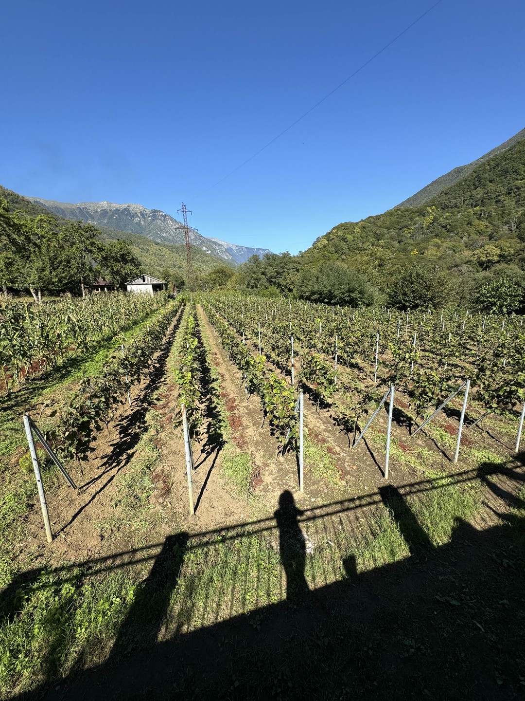 Потрясающий день!