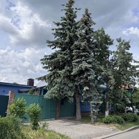 Фото отзыва 2: экскурсия "Прогулка по Суздалю — о городе легко и радостно!"