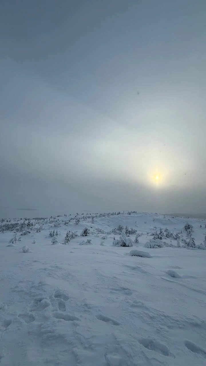 Хочется сказать огромное спасибо за тур Артему и Роману — все было сделано с душой и