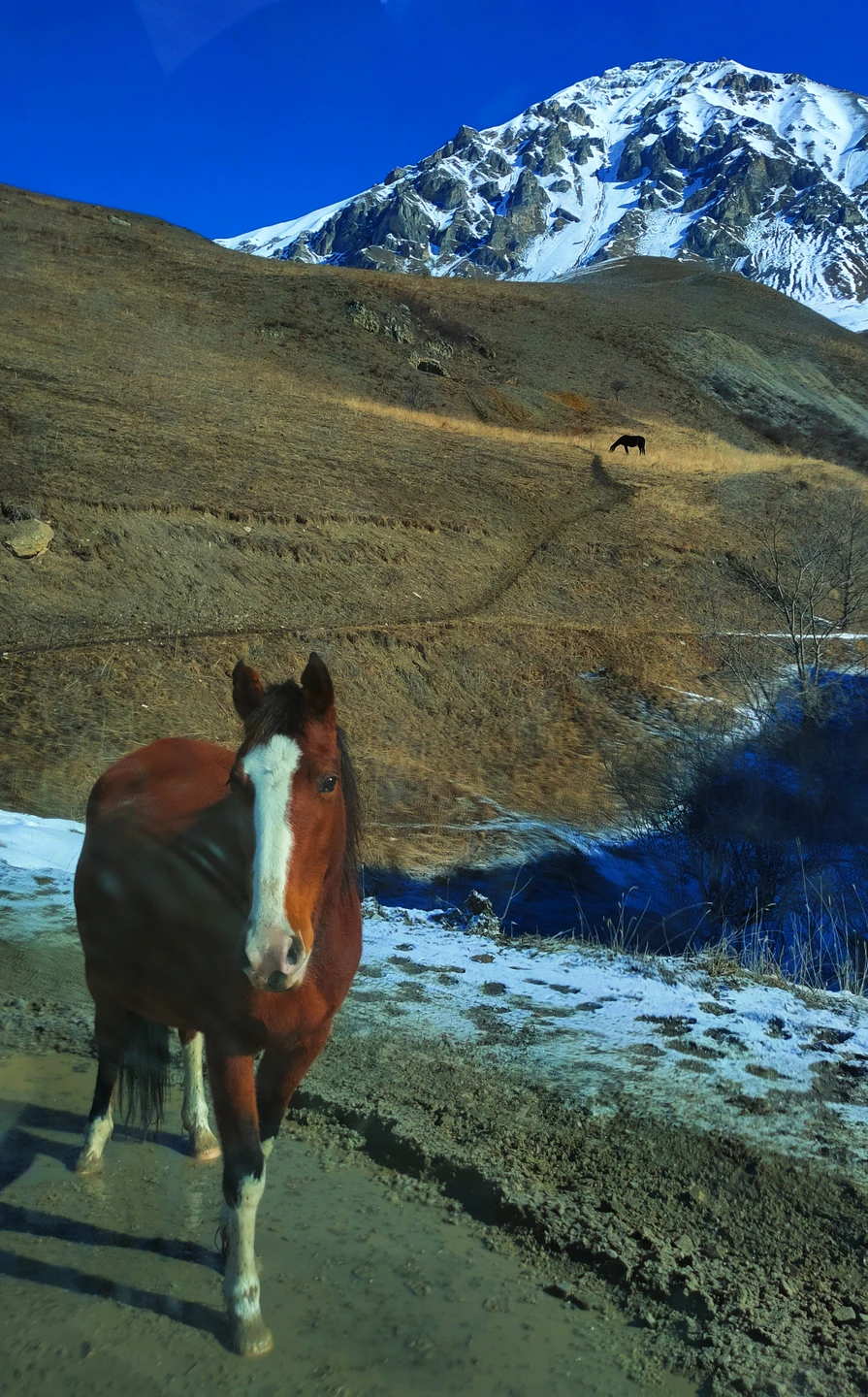 Экскурсия в Северную Осетию понравилась! Комфортабельный трансфер, Гид Григорий познавательно рассказал про южные народы и по