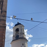 reviews img