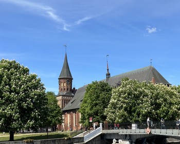 Прогулки по Калининграду