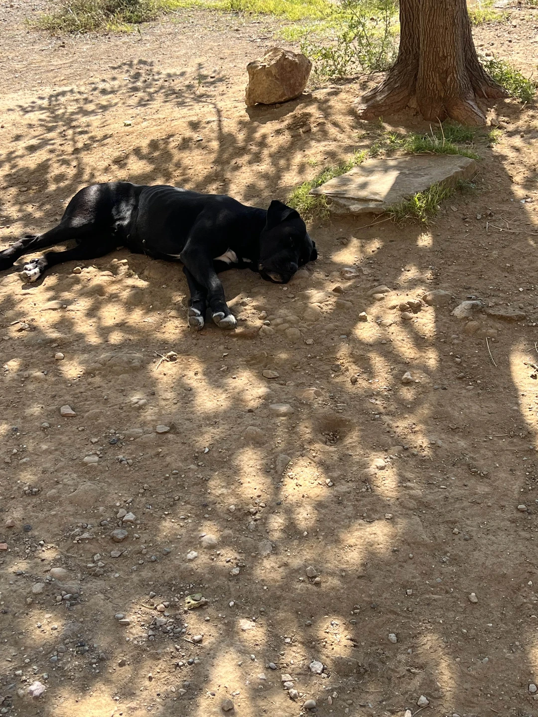 По пустыне Удабно - к Радужным горам и комплексу Давид-Гареджи (Арина)