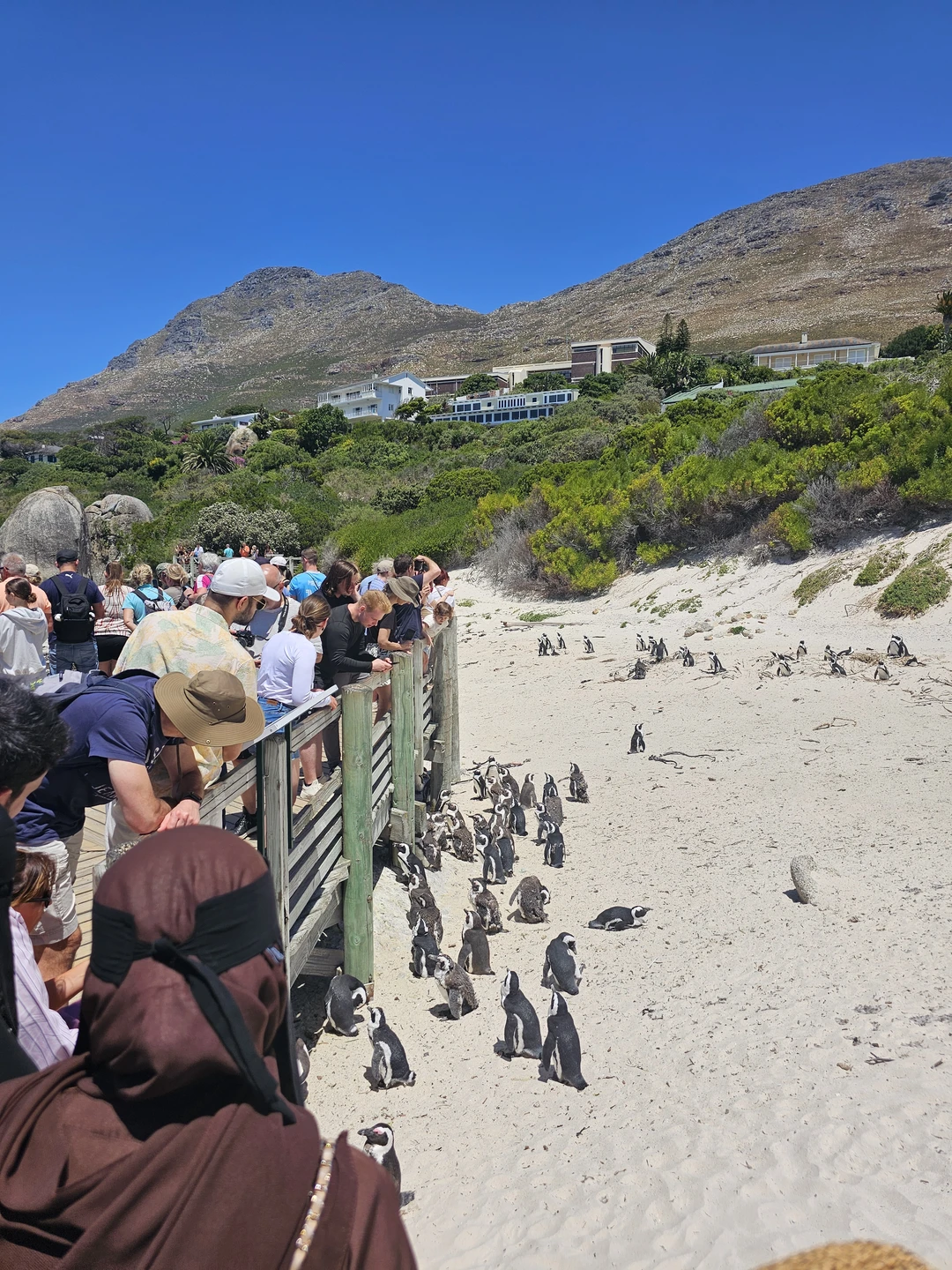 Сразу чувствуется опыт гида Елены, очень терпеливо и внимательно относится к пожеланиям клиентов, при этом не