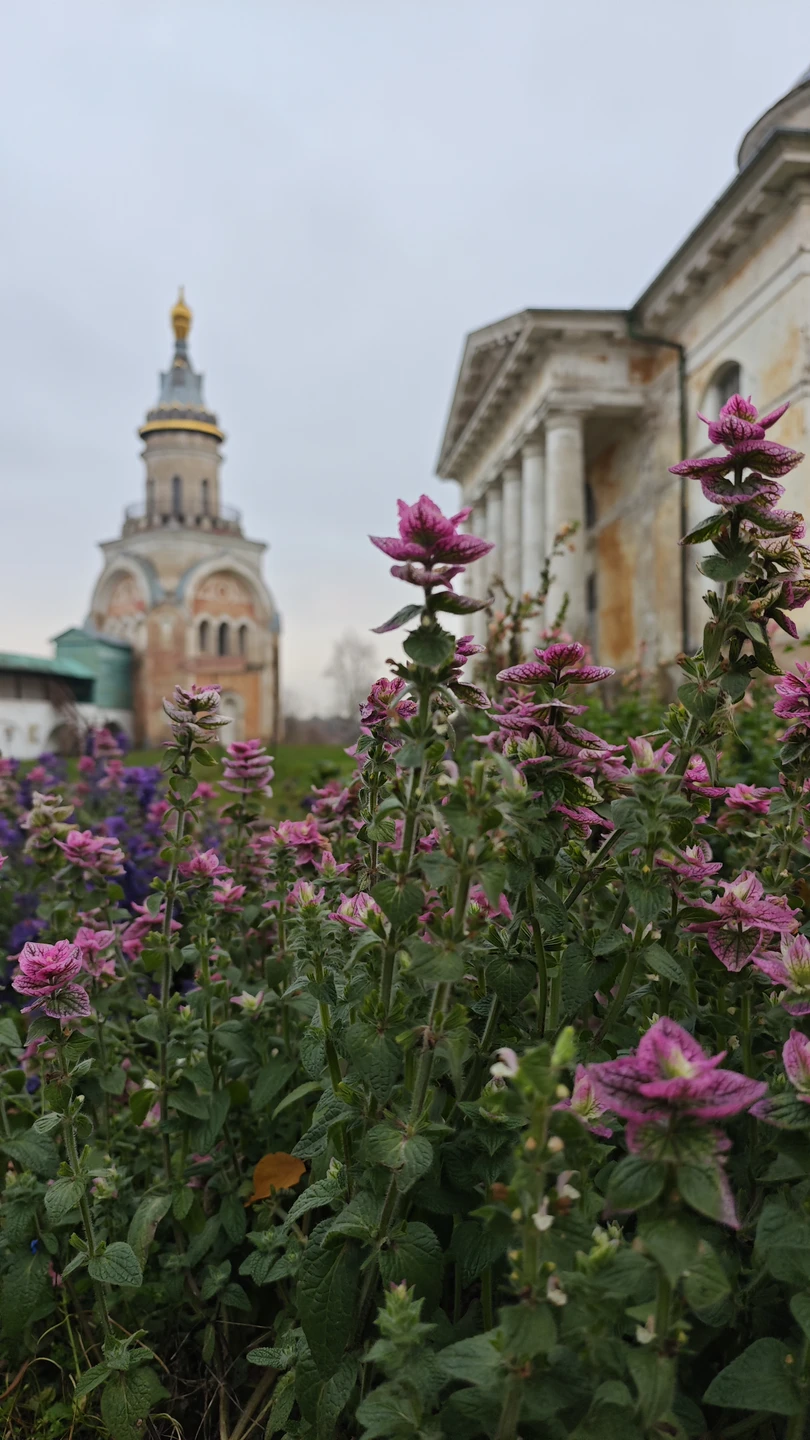 Татьяна очаровательный экскурсовод, рассказывала очень интересно, маршрут объемный авто-пешеходный, чтоб успеть все посмотреть) Если вы хотите