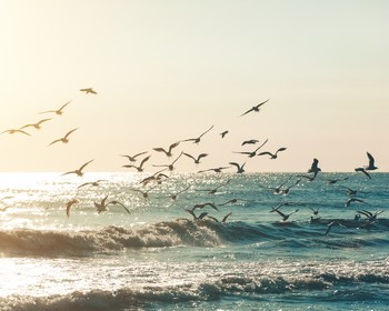 Дагестан: Дербент, экраноплан «Лунь», дегустация на коньячном заводе, национальный обед с концертом