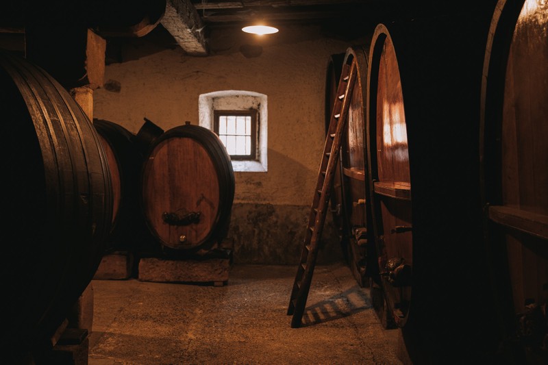 Легендарная дорога вина: живописные деревни и винные погреба Эльзаса