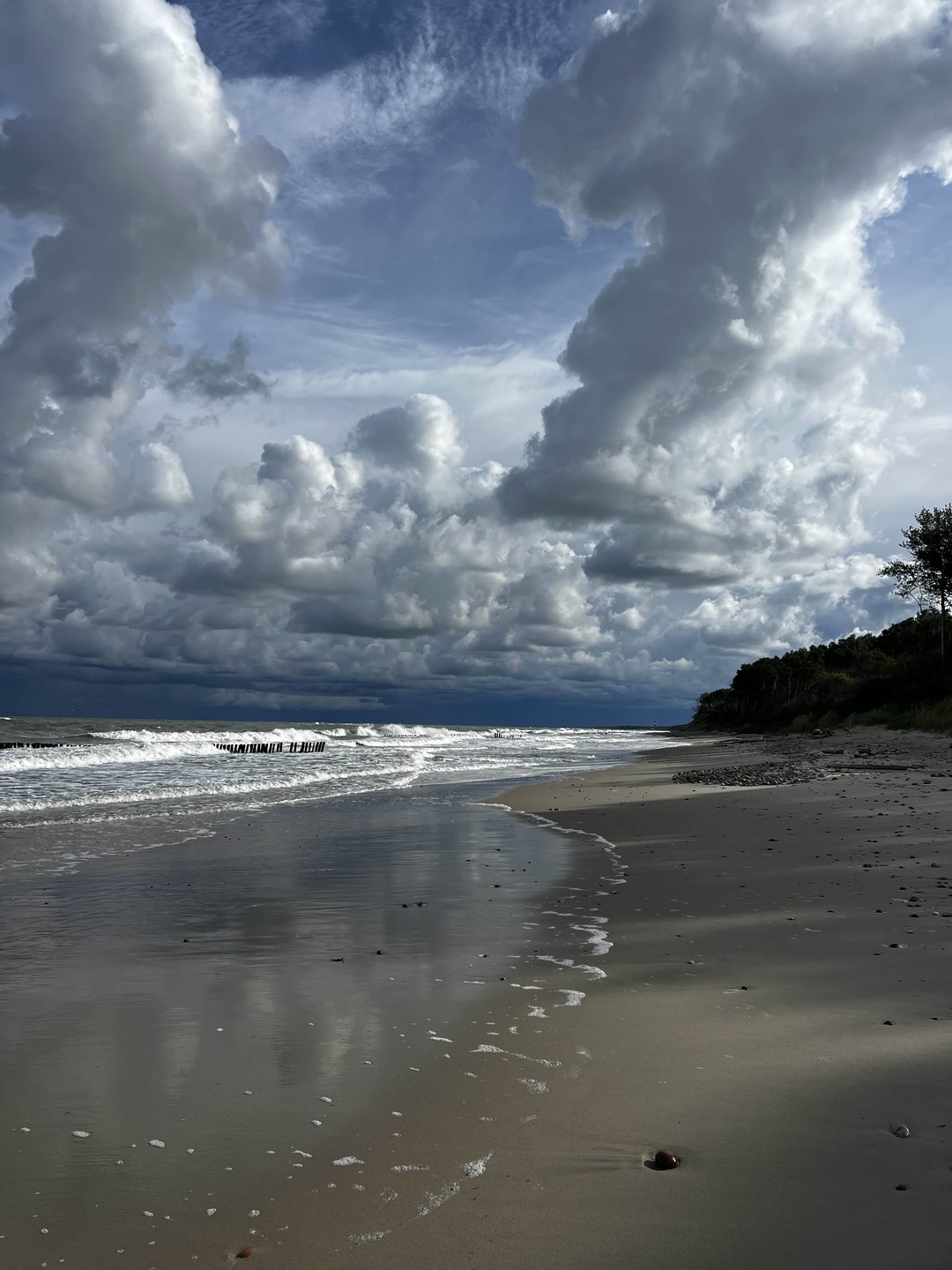 В небольшой группе - на Куршскую косу, в Зеленоградск (Юлия)