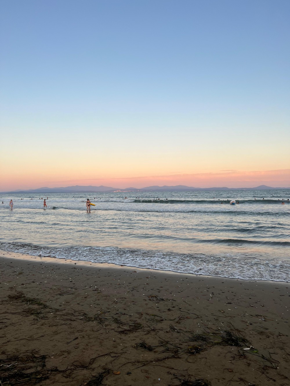 Тигры, море, шашлычок (7/7)