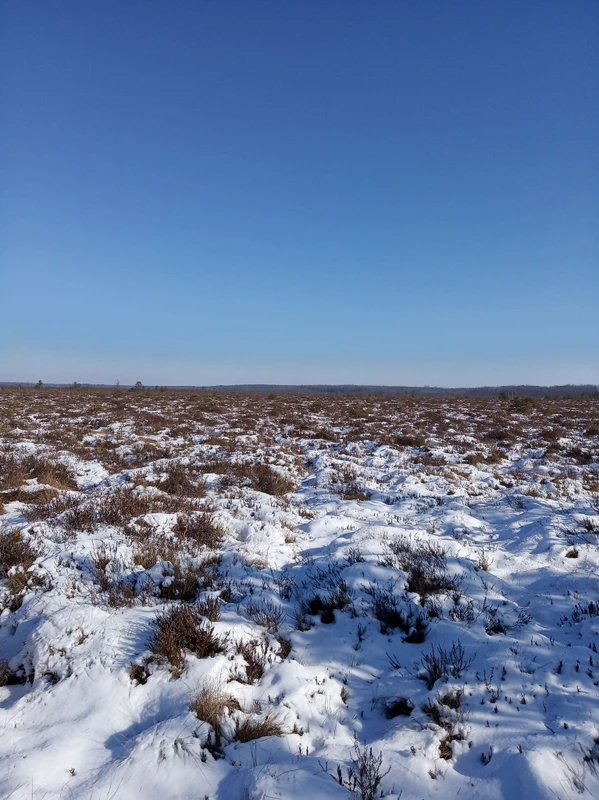 Зимний болотинг — настоящий экстрим по-белорусски (из Браслава)