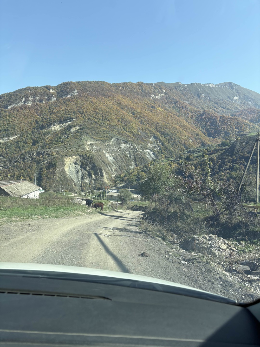 Комфорт, красота, пешая прогулка. Спасибо за интересную и полезную экскурсию