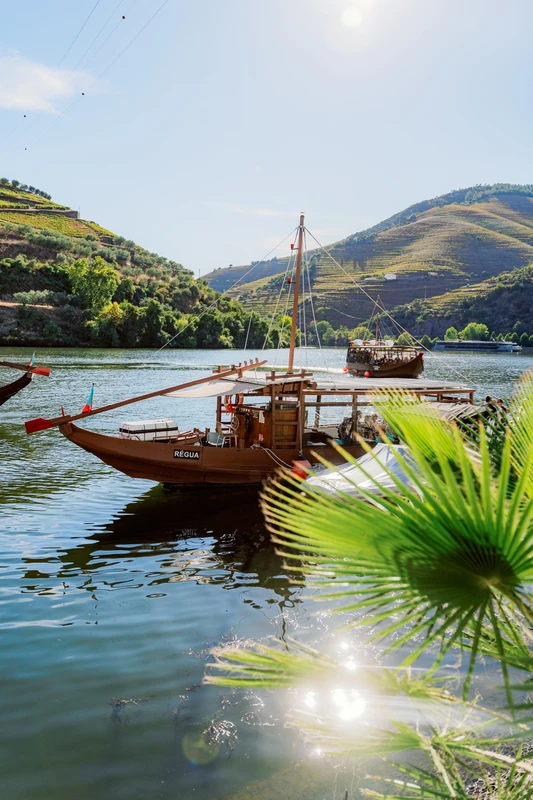 «Не портвейном единым»: по долине реки Дору в компании сомелье