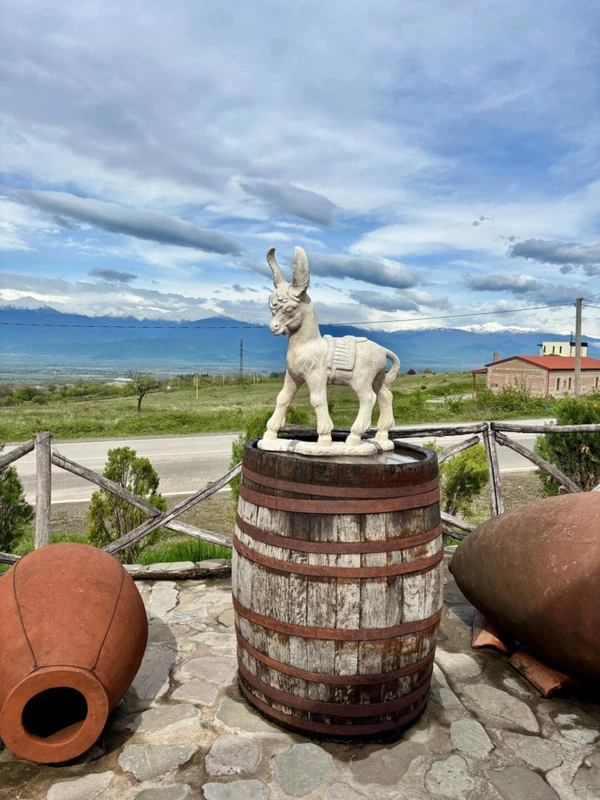 Большой день в Кахетии