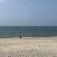 Фото отзыва 2: экскурсия "Три в одном: Куршская коса, Зеленоградск и замок Нессельбек"