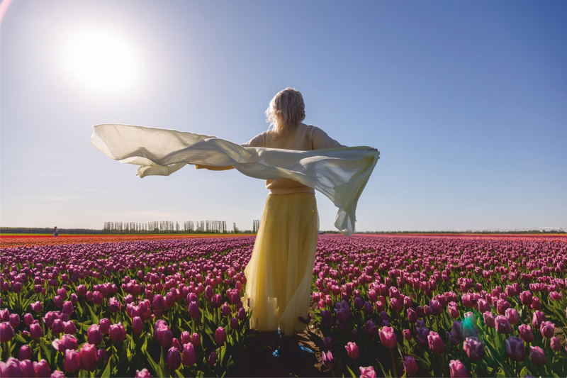 Из Минска - на самое большое тюльпановое поле страны