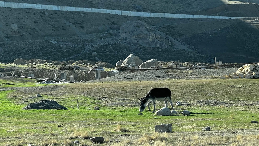 Из Баку - к марсианским пейзажам и розовому озеру (Алексей)