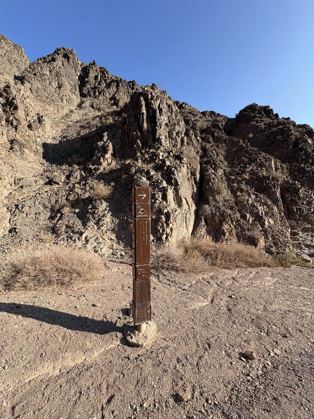 Невероятное чудо расчудесное)))