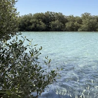 Фото отзыва 2: экскурсия "Национальный парк Рас-Мохаммед — в мини-группе"