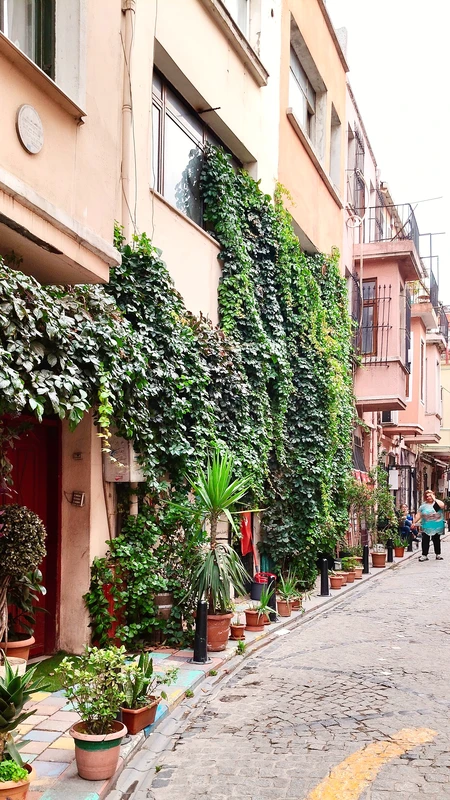 От Таксима к Балату: история, цветы и духовное наследие