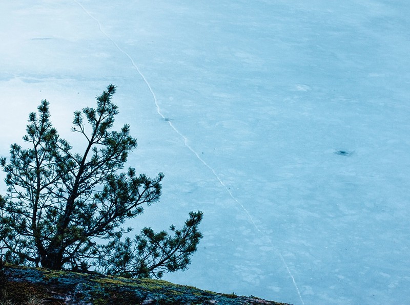 Фото отзыва 2: экскурсия "На снегоступах — к скальным озёрам! Поход из Петербурга"