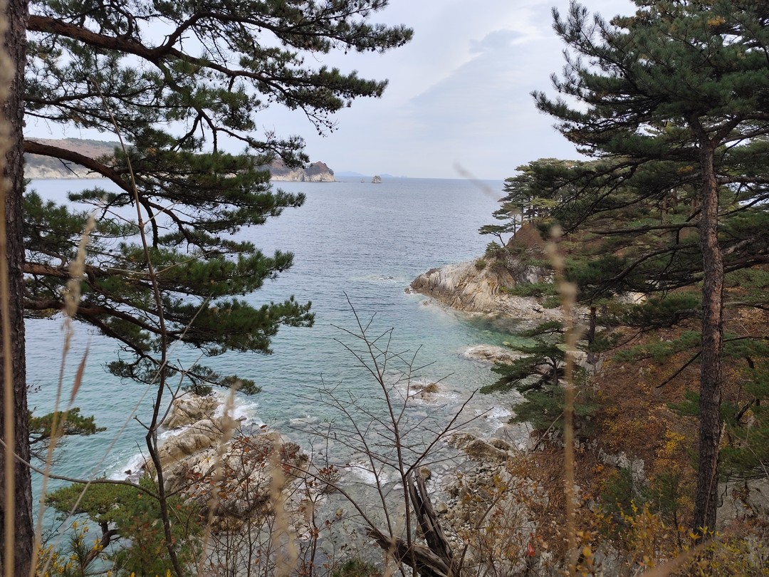 Очень понравился полуостров в осенних красках! Гид Илья лучший, свое дело знает и очень им болеет