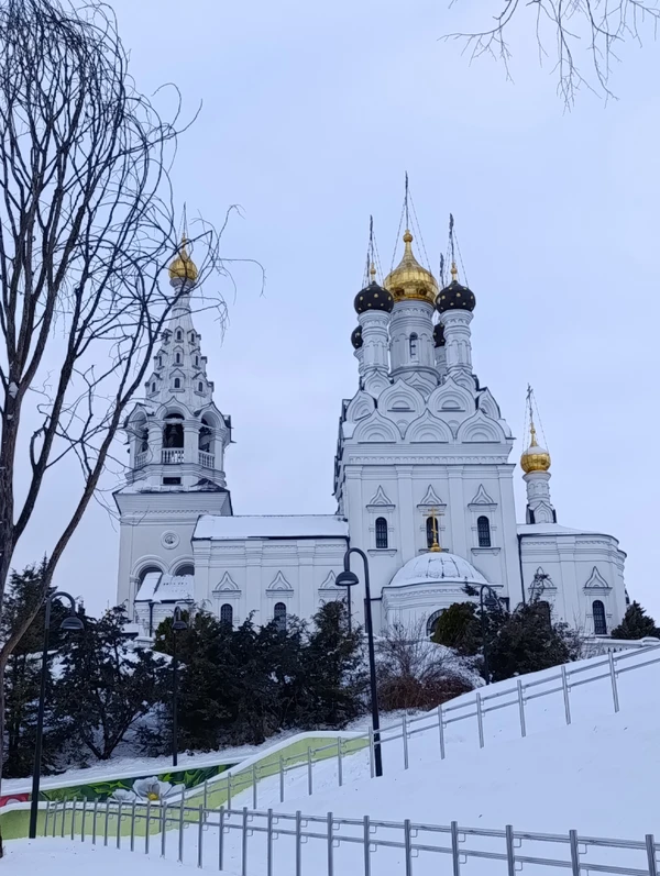 Прусские воительницы и великие полководцы 19 века