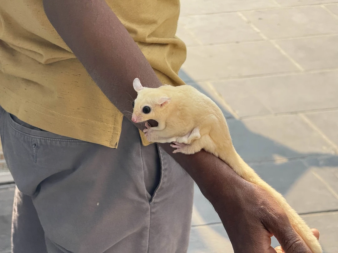 Отличная экскурсия, гид Анастасия рассказывала интересно про быт и традиции местного населения, а также делилась личным