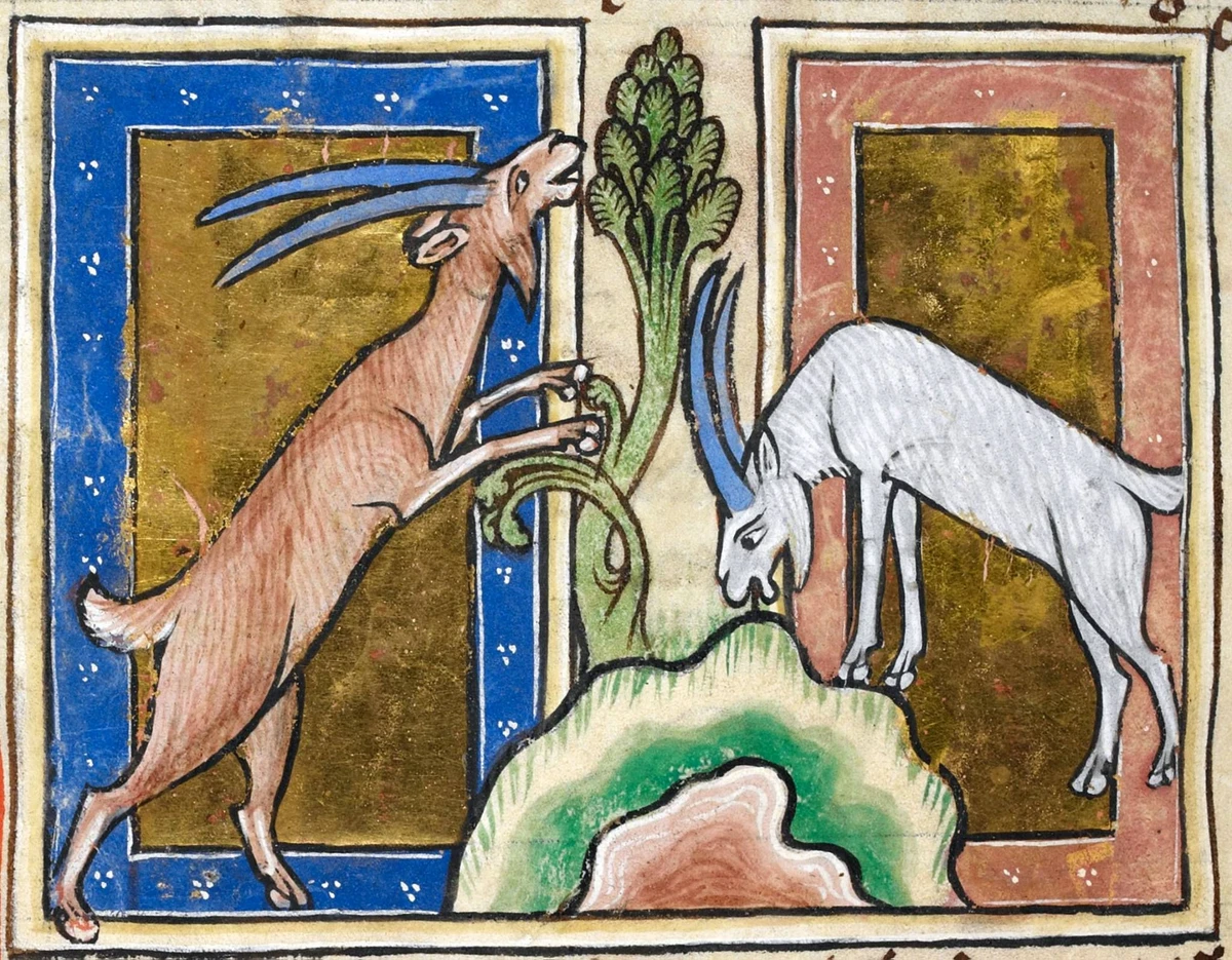 Архитектурный фотоквест в Москве «Бестиарий Чертолья»