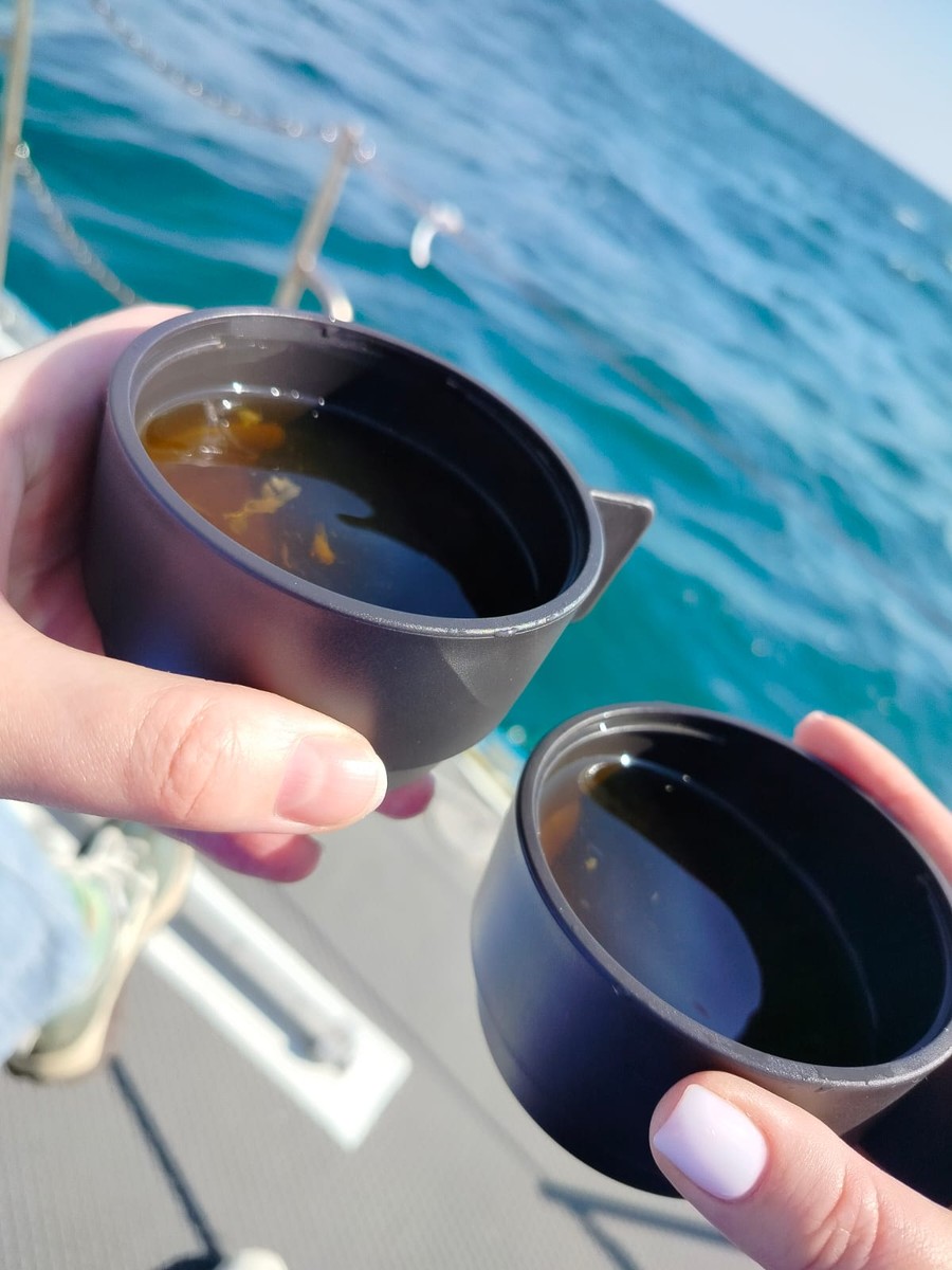 Экскурсия прошла великолепно, получили море впечатлений, рыбы не поймали, но зато видели много много дельфинов🥰. Всё
