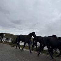 reviews img