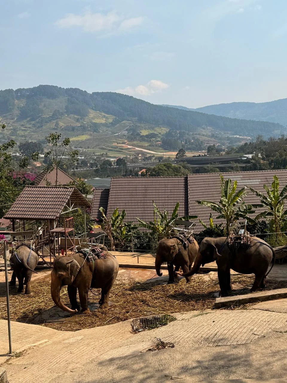 В Далат - из Нячанга (Сергей)