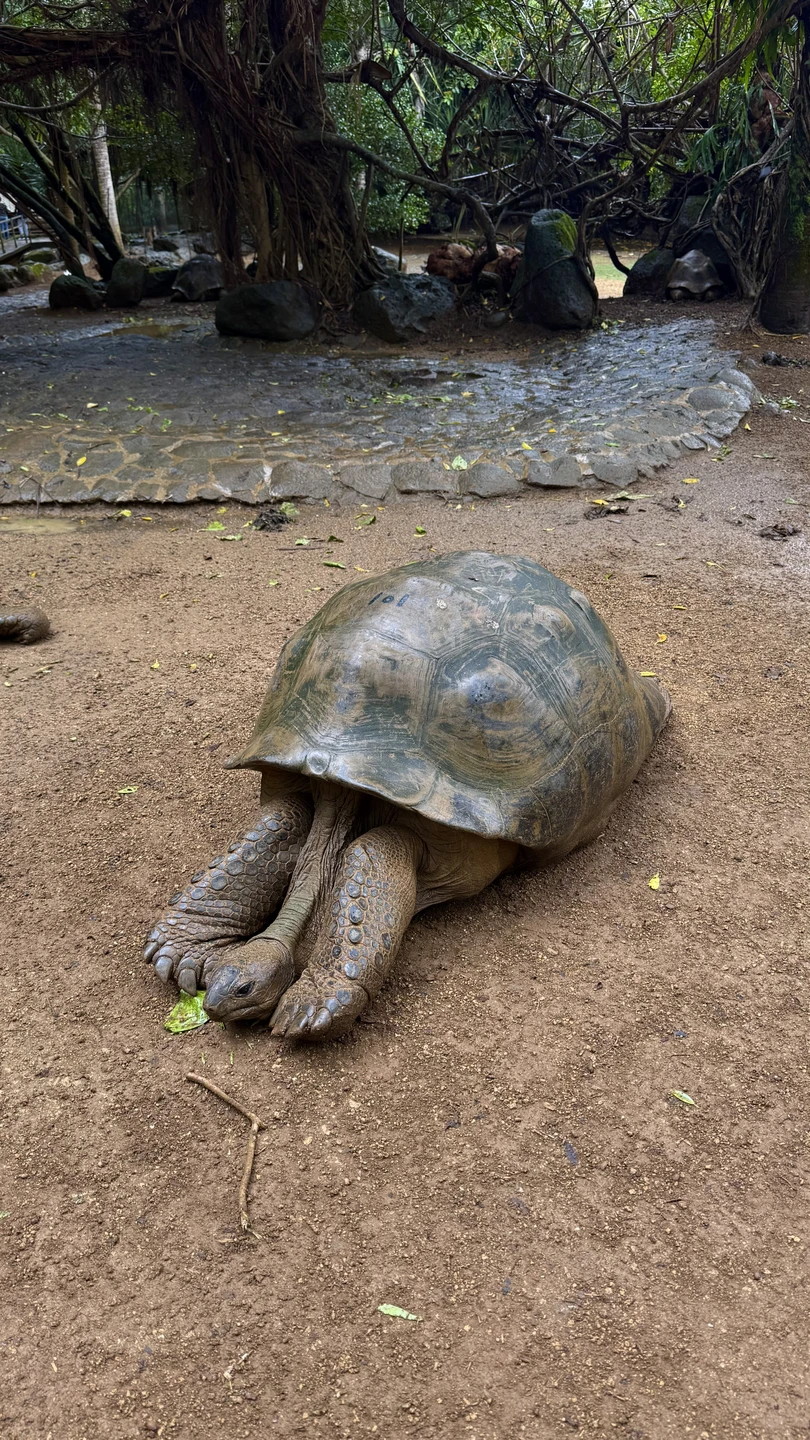 Ездили на экскурсию с Ольгой, все прошло невероятно замечательно, получили большое удовольствие от поездки! Ольга рассказывала