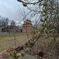Фото отзыва 3: экскурсия "Великий Новгород за два часа"