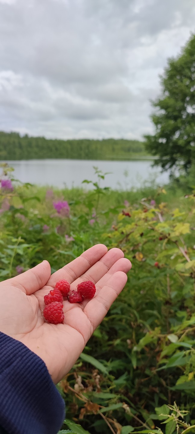 Получилось идеально. Владимир очень грамотный экскурсовод. И группа подобралась совершенно уникальная: ни одного опоздания, всё приходили