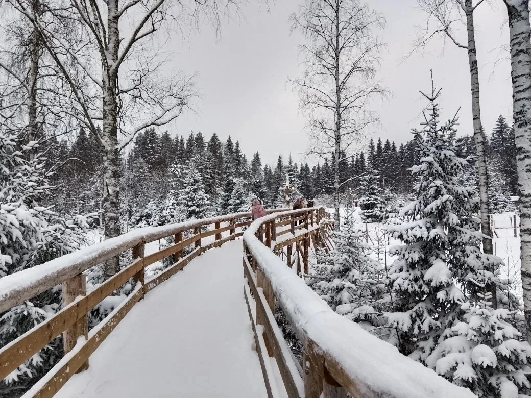 Хотим поблагодарить гида Марину и водителя Дмитрия за чудесную экскурсию. Марина рассказала много познавательного и интересного