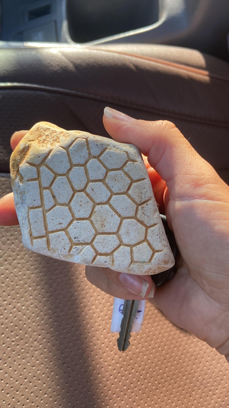 Остров Русский и бухта Стеклянная (10/16)