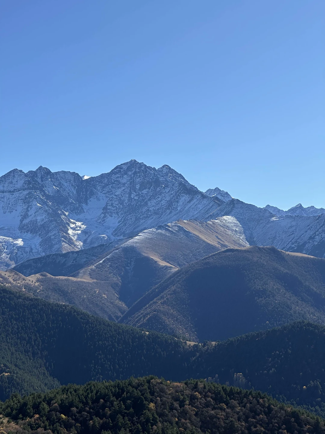 Ездили сегодня в Ингушетию с гидом по имени Ибрагим. Интеллигентный человек с отличным чувством юмора, любящий