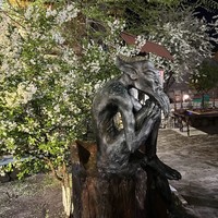 Фото отзыва 3: экскурсия "Сияние вечерней Казани"