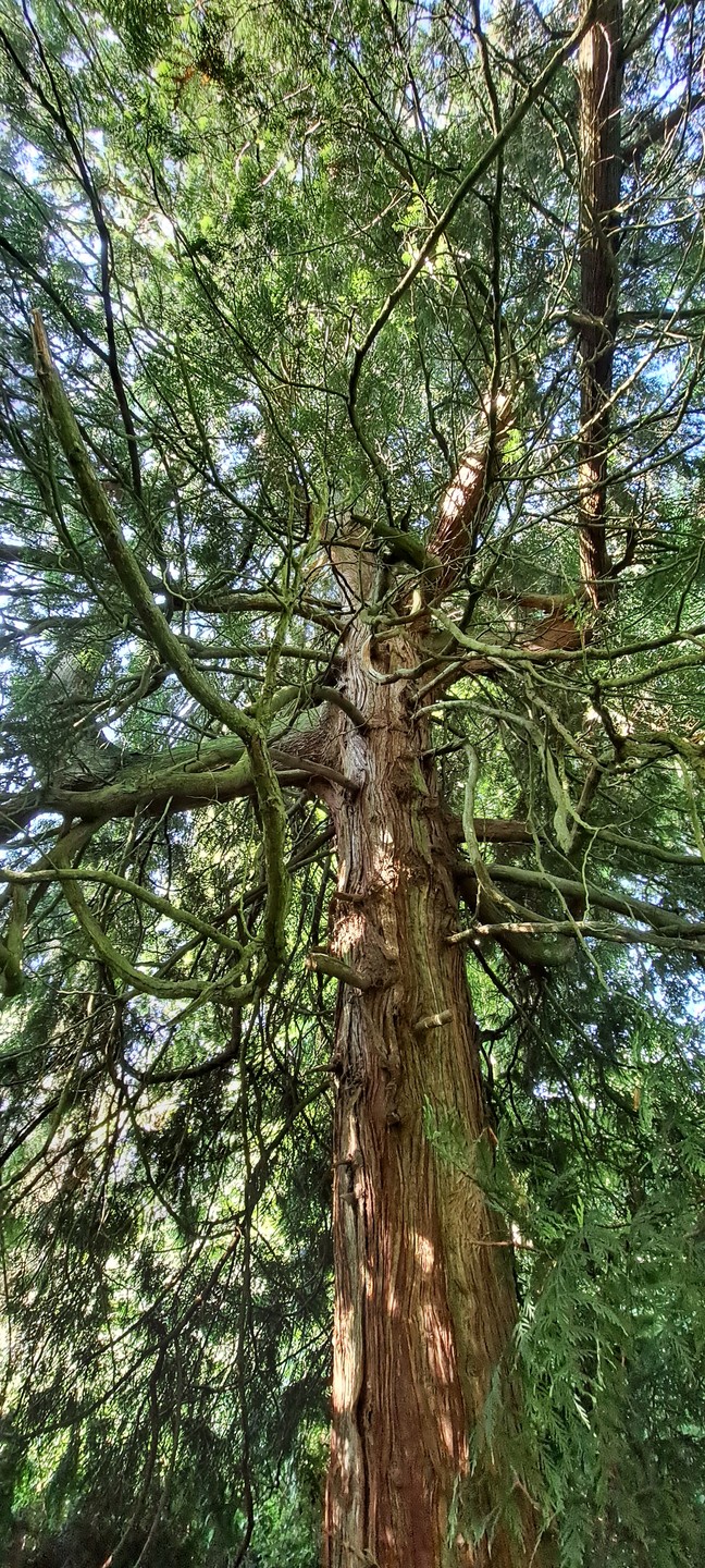 Отличная экскурсия с ответственным и вовлеченным в тему гидом Романом, всем рекомендуем!