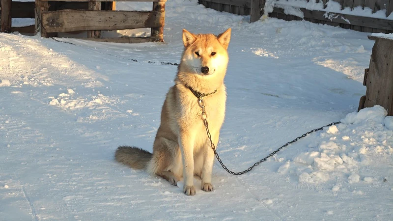 Лучшие моменты наедине: индивидуальная экскурсия в Териберку с комфортом и без спешки (Анастасия)