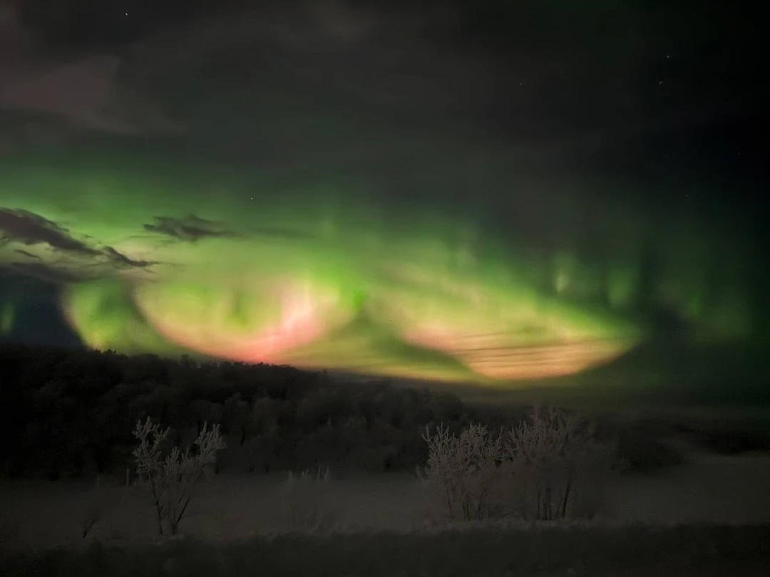 Все очень понравилось!